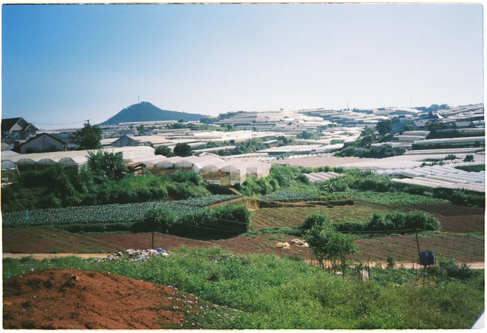 Nông sản nhà vườn